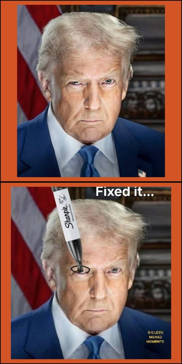 Nachrichten Linkding Trump Meme