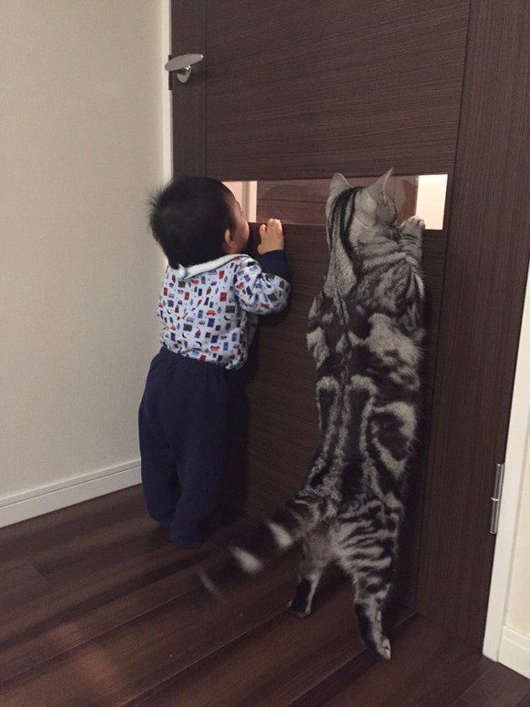 Katze und Kind