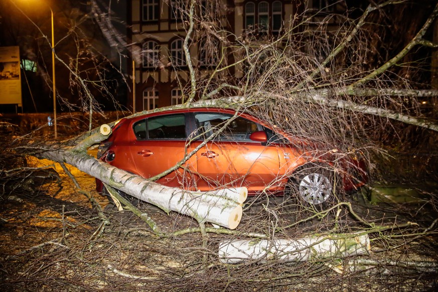 Ein nach einem Sturm umgestuerzter Baum liegt am 13. Januar 2017 in Wiesbaden (Hessen) auf einem Auto. Tief «Egon» hat mit starkem Sturm Verkehrsbehinderungen in Hessen verursacht. (KEYSTONE/DPA)