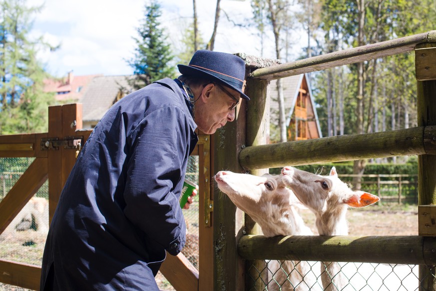 Das ist Kafis Papa Dieter beim Wildflüstern. Er macht das sehr heldenhaft. Und ist dennoch auch nur ein Mensch.