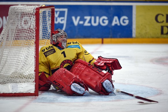 Nolan Schaefer: Ist er wieder bereit in den Playoffs?