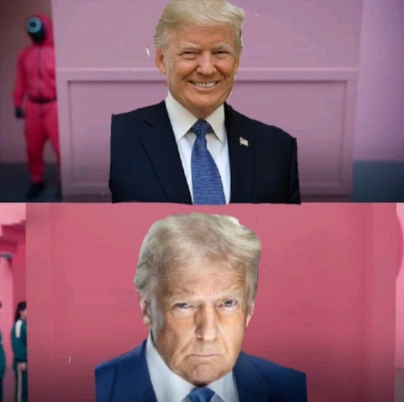 Nachrichten Linkding Trump Meme