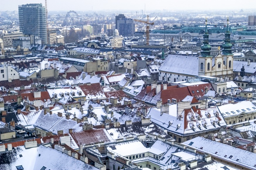 Österreicher wird man nicht einfach so – im Bild die Hauptstadt Wien.