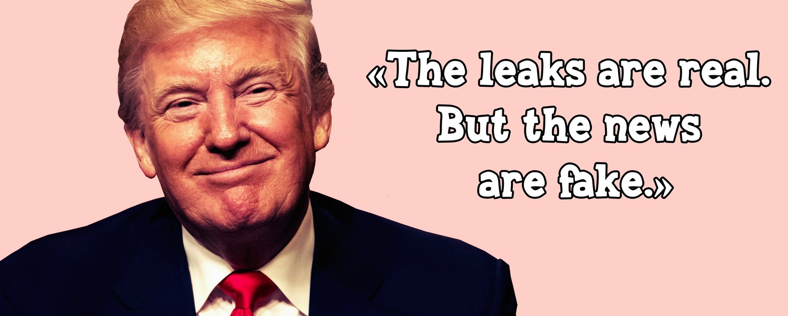 «Die Leaks sind echt. Aber die Nachrichten sind gefälscht.»