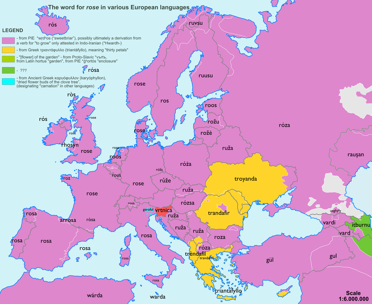 Bei der Blume der Liebe greift fast ganz Europa auf die indogermanische Ursprache zurück.