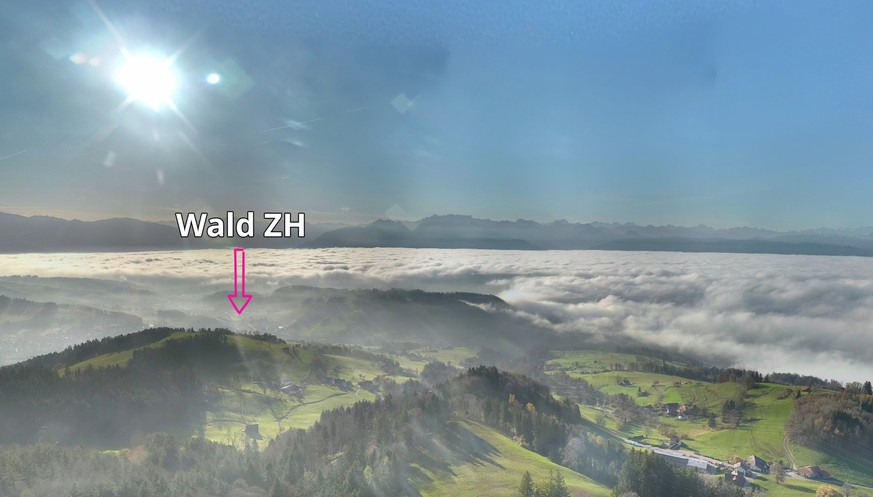Nachrichten Linkding wald nebel RAuszeit