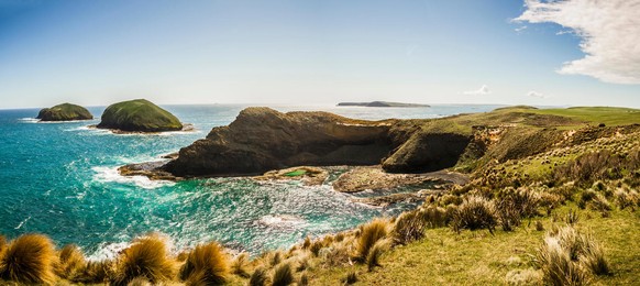 FBHP59 Colourful seaside panoramic landscape of the epic landmark Cape Grim on the most far northwestern point of Tasmania. Australia