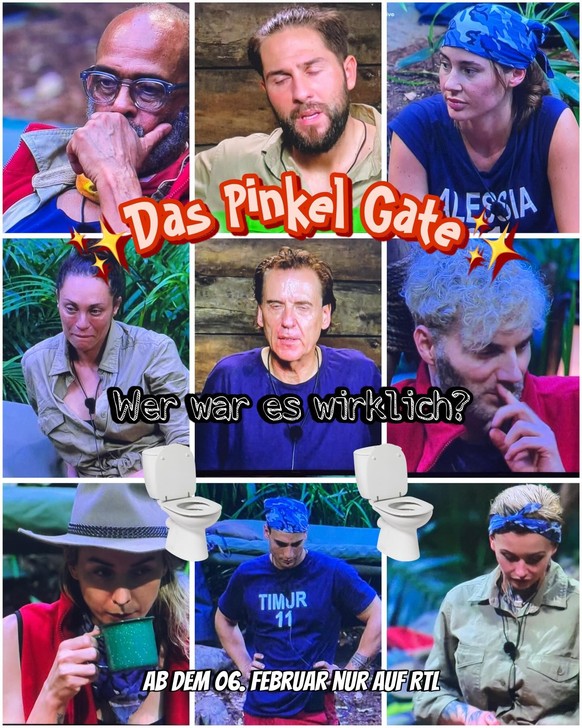 Nachrichten Linkding Dschungelcamp Memes und Posts