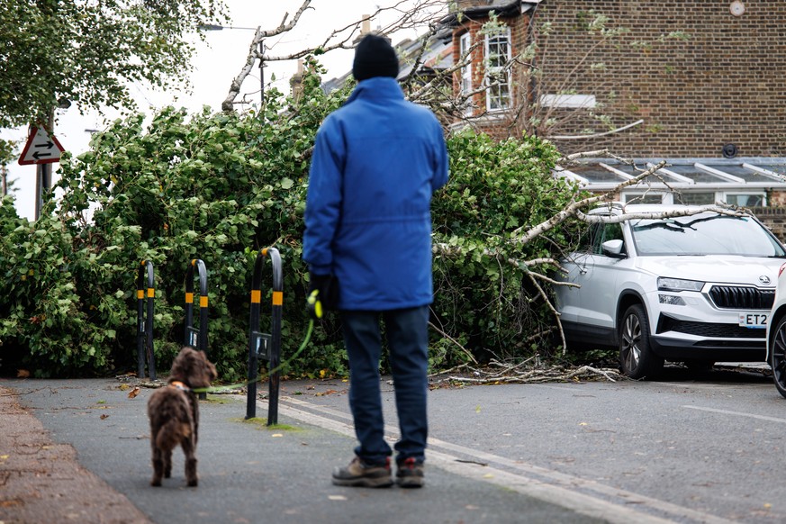 Nachrichten Linkding epaselect epa11737966 A person looks at a tree that fell on a car across a residential street due to strong winds in east London, Britain, 24 November 2024. National severe weather warnings are still  ...