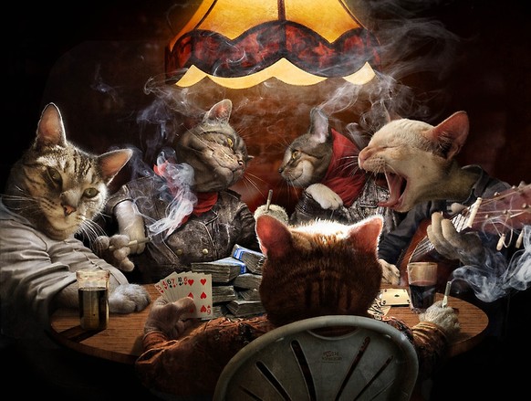 Katzen spielen Poker
