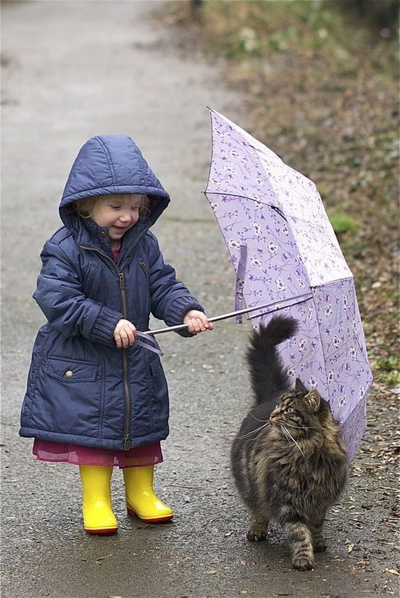 Kind schützt Katze mit Regenschirm

https://www.pinterest.com/pin/412360909615070868/