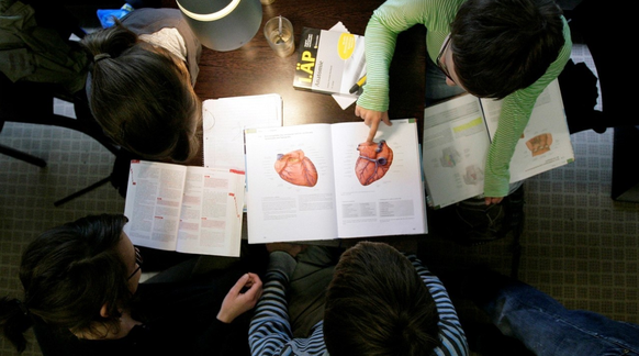 Kürzungen in der Bildung könnten Medizinstudenten treffen, für die der Bundesrat neue Plätze schaffen wollte.