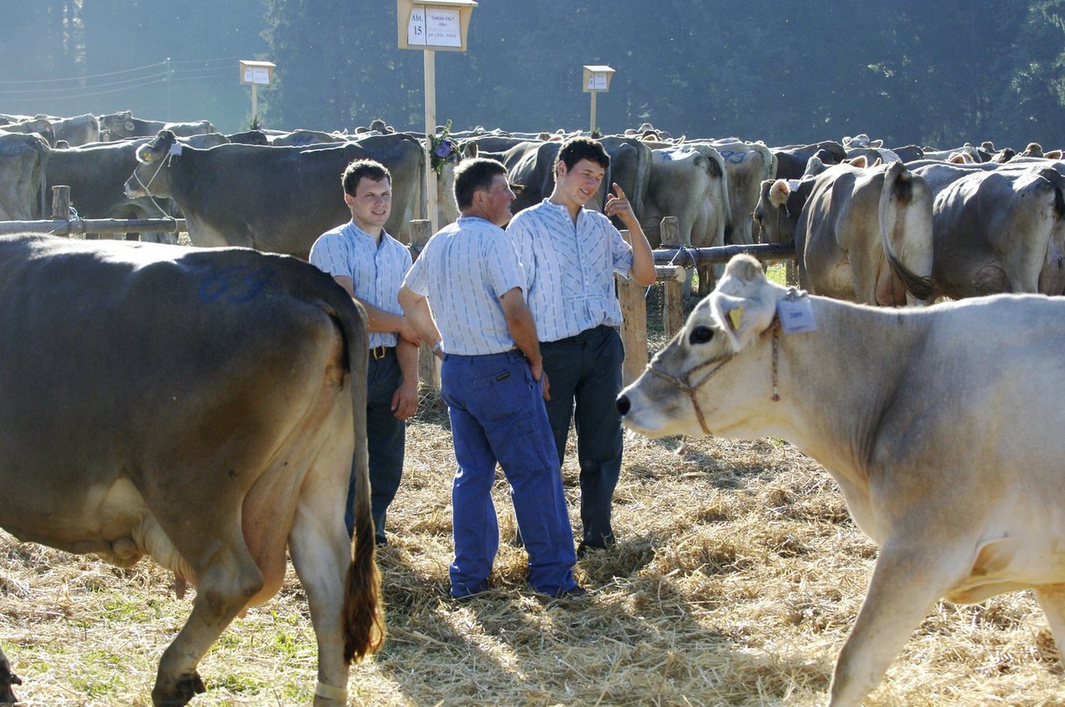 Bauern an einer Viehschau in Rehetobel AR.