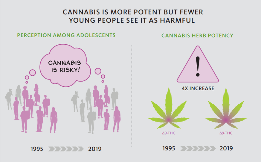 Cannabis ist über die Jahre immer potenter geworden, doch weniger Leute betrachten es als gefährlich.