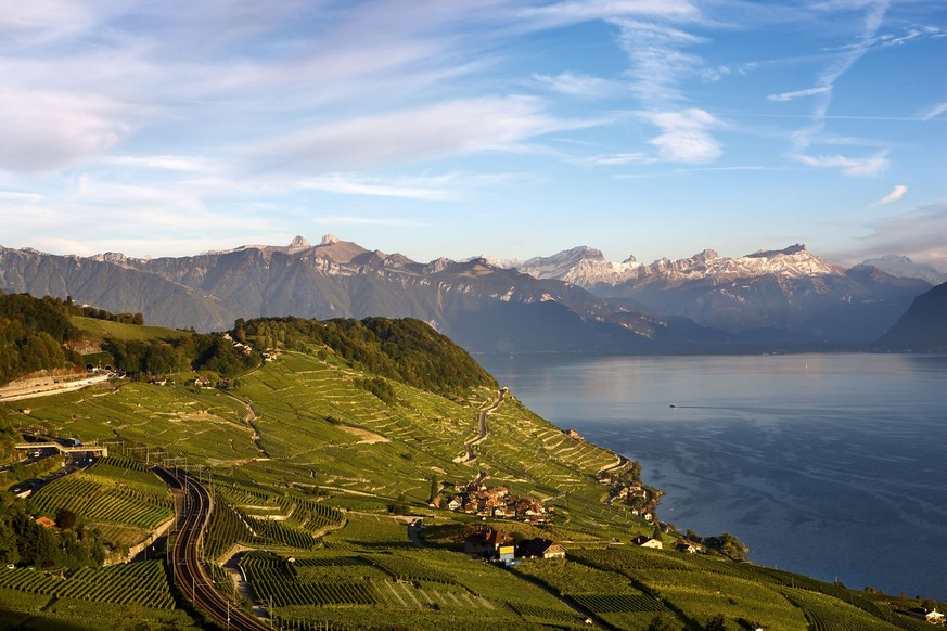 Die tolle Wohnlage in den Weinbergen des Laxaux am Genfersee – ein Unesco-Weltkulturerbe – zieht viele Millionäre magisch an.