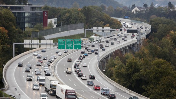 Gaffer sorgten auf der A1 für Probleme bei der Feuerwehr (Symbolbild).