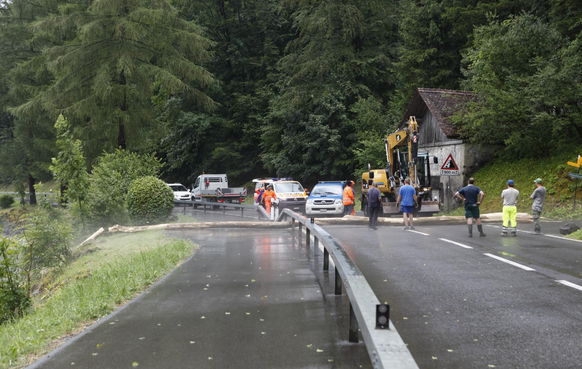 Der Baumstamm landete sogar im Lauerzersee (SZ).&nbsp;