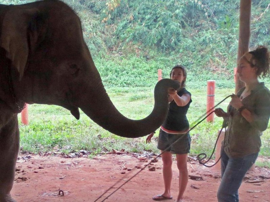 Zwei Frauen tes­ten das Kör­per­be­wusst­sein ei­nes asia­ti­schen Ele­fan­ten in Thai­land.