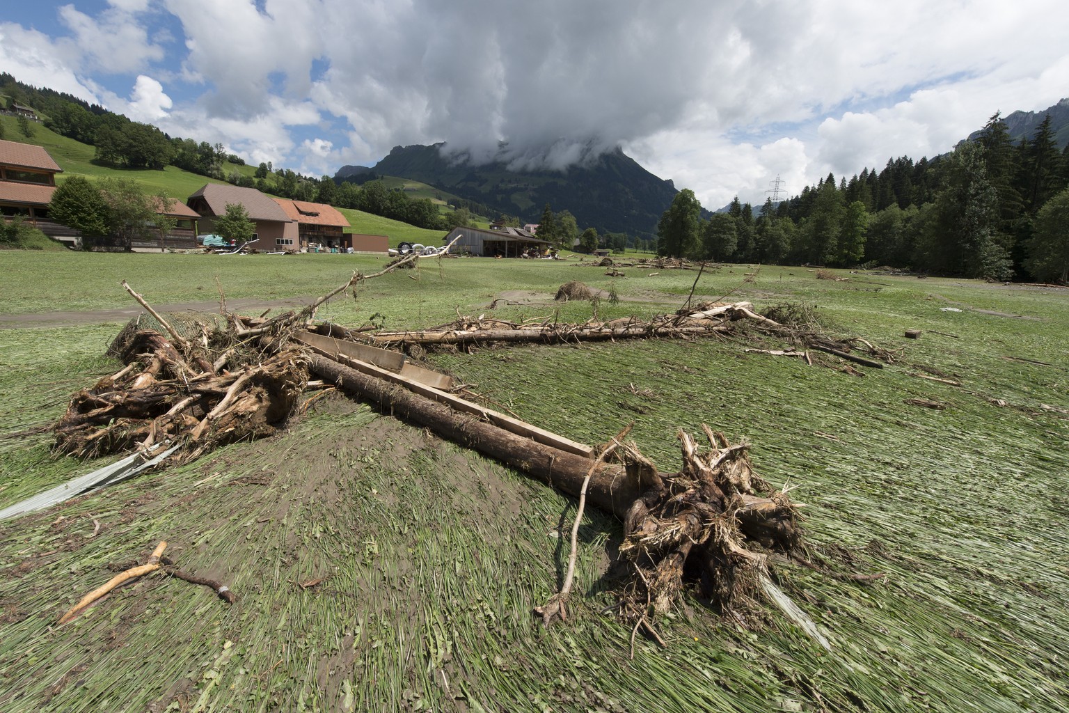 Als das Wasser des Flusses über die Ufer stieg, drückte es regelrecht das Gras der Wiesen platt.