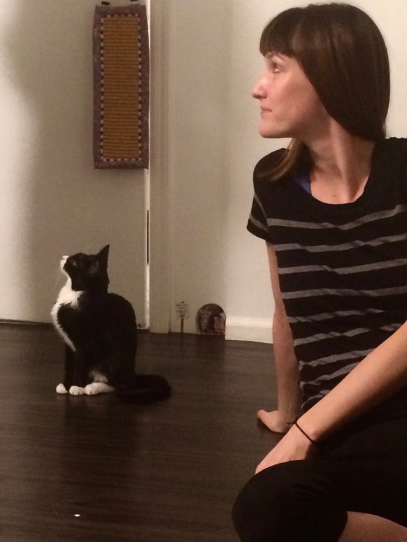 Katzen-Yoga, Yoga, cats, Katzen, Pussy, New York