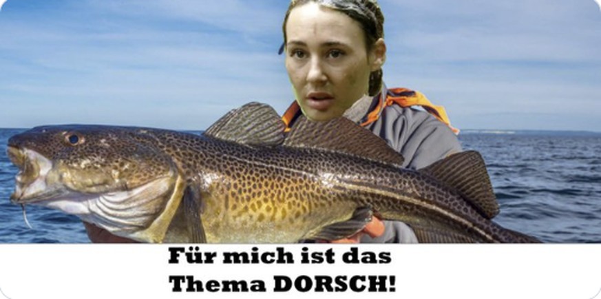 Nachrichten Linkding Alessia Dschungelcamp