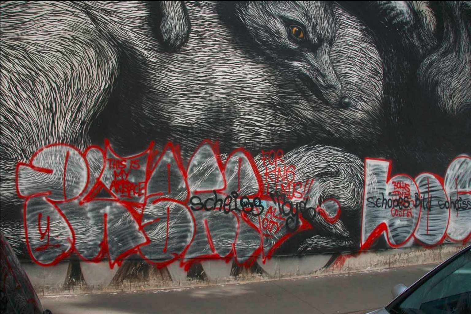Von Puber überspraytes Graffiti in Wien.