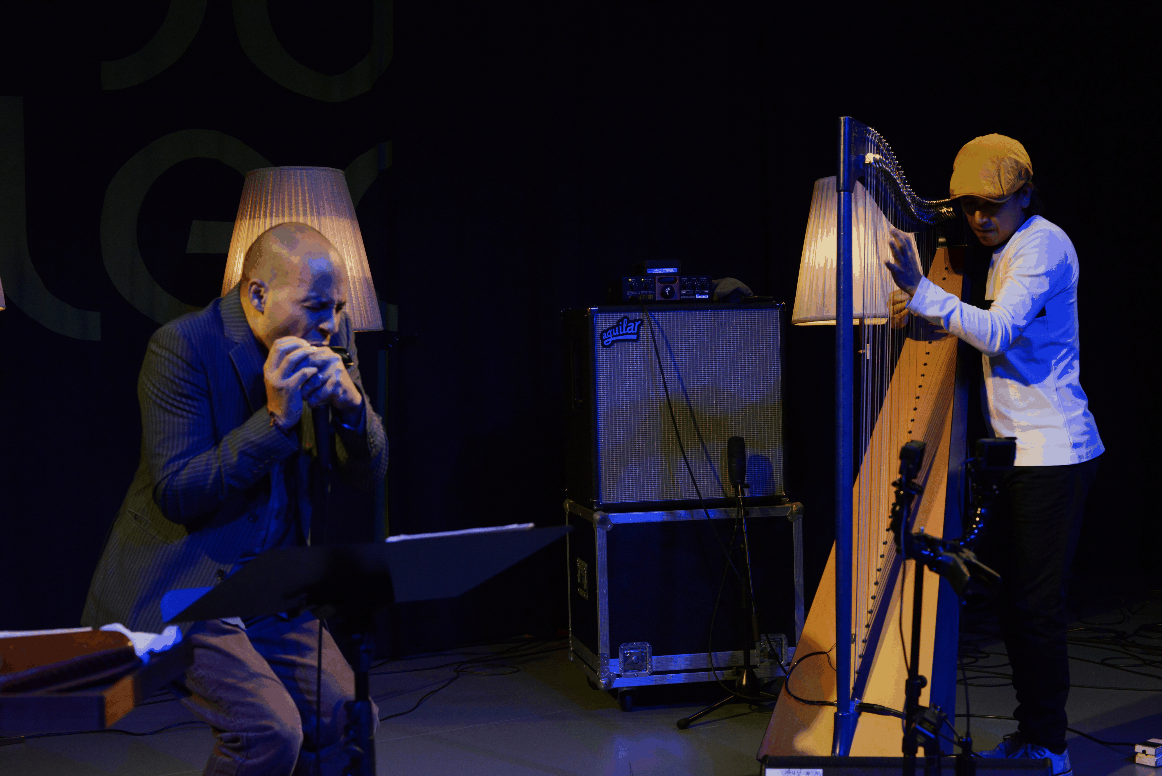 Gregoire Maret und Edmar Castaneda bei musig im pflegidach, Muri