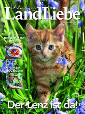 Büsis ziehen auch im Print: Das Magazin Landliebe legt erneut zu.