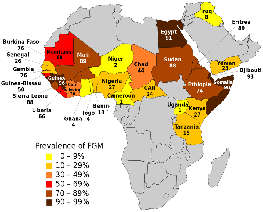 In Ägypten, am Horn von Afrika und in Guinea ist der Anteil der betroffenen Frauen besonders hoch. &nbsp;