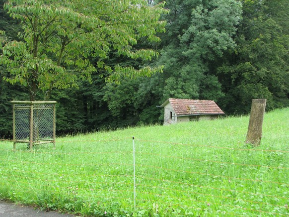 Bei diesem Bienenhaus wurde die Granate deponiert.