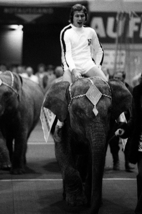 German soccer star of Borussia Moenchengladbach, Jupp Heynckes, rides on an elephant during the 7th Sport Press Party in Cologne, West Germany, in this Nov. 9, 1975 picture. Borussia Moenchengladbach  ...
