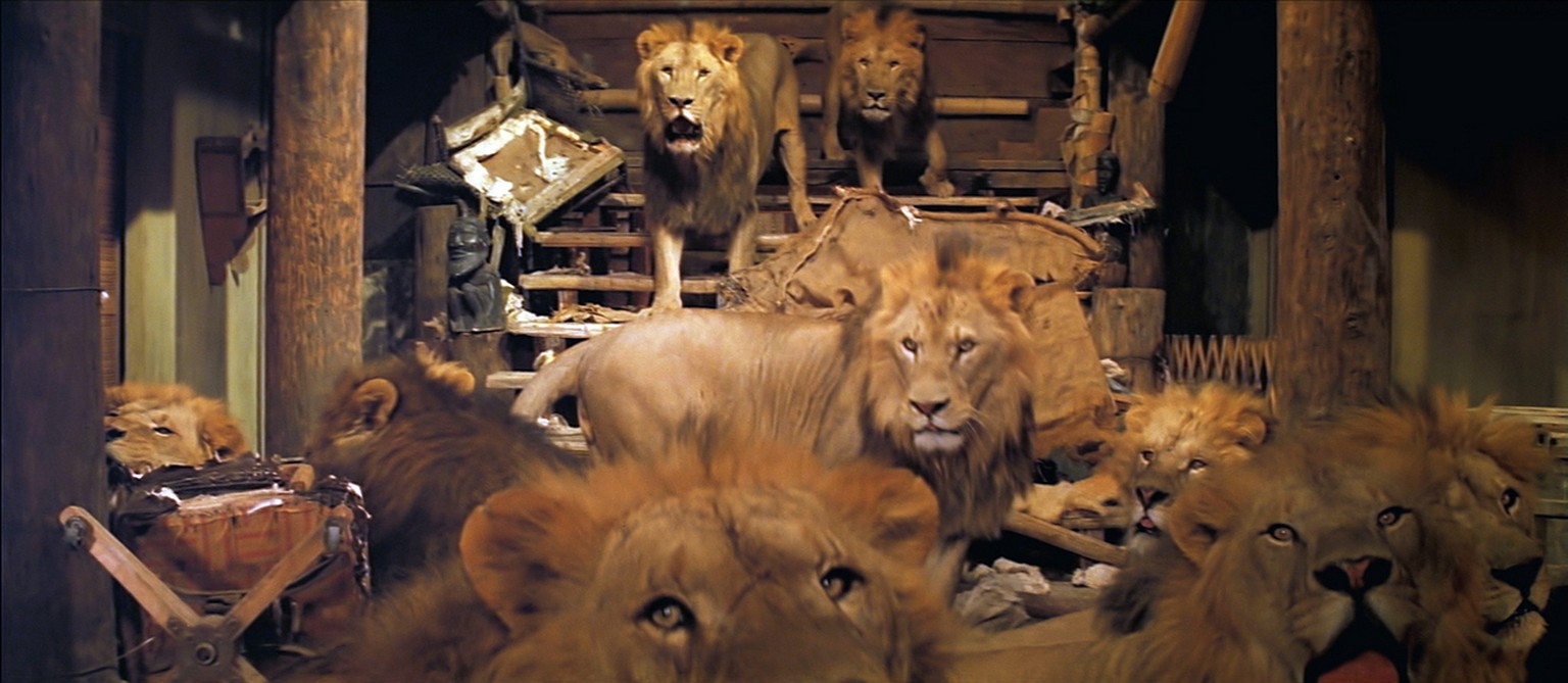 So sieht «schöner wohnen» aus, wenn Löwen das Einrichten übernehmen. Szene aus «Roar».