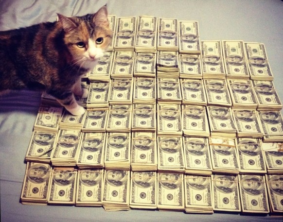 Katze mit Geld.
http://imgur.com/gallery/b6U0pI4