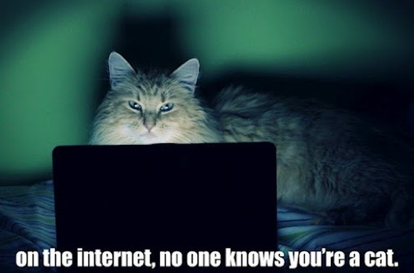 Im Internet weiss niemand, dass du eigentlich eine Katze bist.&nbsp;