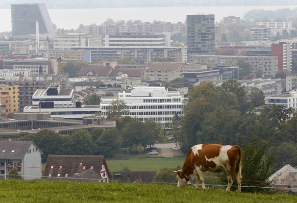 Bekommt Baar ein Asylzentrum?