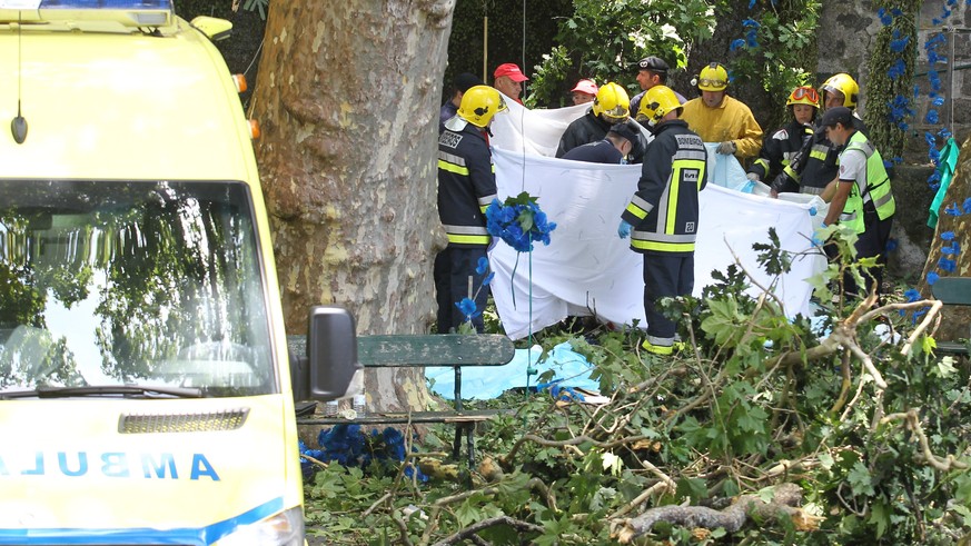 epa06145627 Firemen and emergency workers secure the site where a large tree fell and injured several people in Largo da Fonte, in the parish of Monte, on the Madeira island, Portugal, 15 August 2017. ...