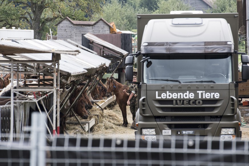Das Militaer sichert die Pferde vom Hof von Ulrich K., der unter dem Verdacht des Quaelens von Pferden steht, aufgenommen am Dienstag, 8. August 2017, in Hefenhofen. (KEYSTONE/Ennio Leanza)