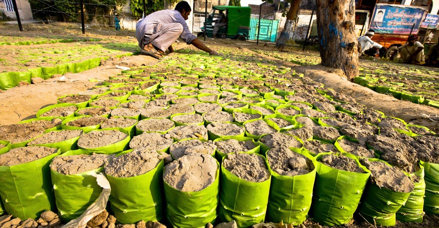 epa04457712 A gardener prepares sand for saplings plantation at a nursery in Lahore, Pakistan, 22 October 2014. Trees are one of the world&#039;s single largest sources of Oxygen, they not only reduce ...