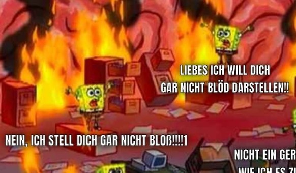 Nachrichten Linkding Die lustigsten Posts zum Dschungelcamp