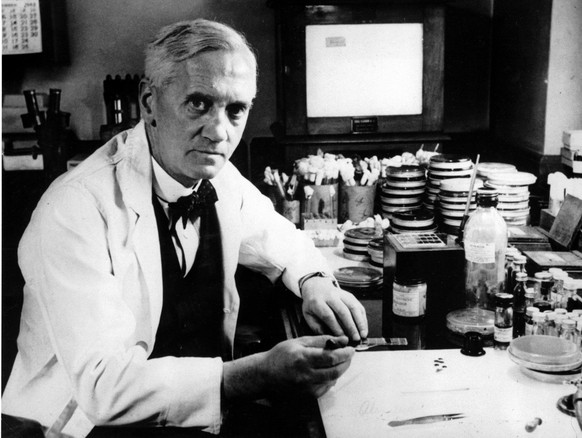 Sir Alexander Fleming in einem Labor des Wright Flaming Instituts in London, 1952.&nbsp;