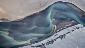 Blütenblätter in einem vulkanischen Fluss.