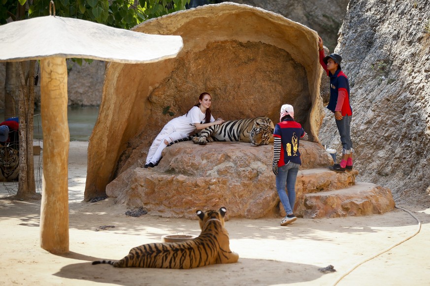Der Tiger-Tempel in&nbsp;Kanchanaburi war eine grosse Touristenattraktion.