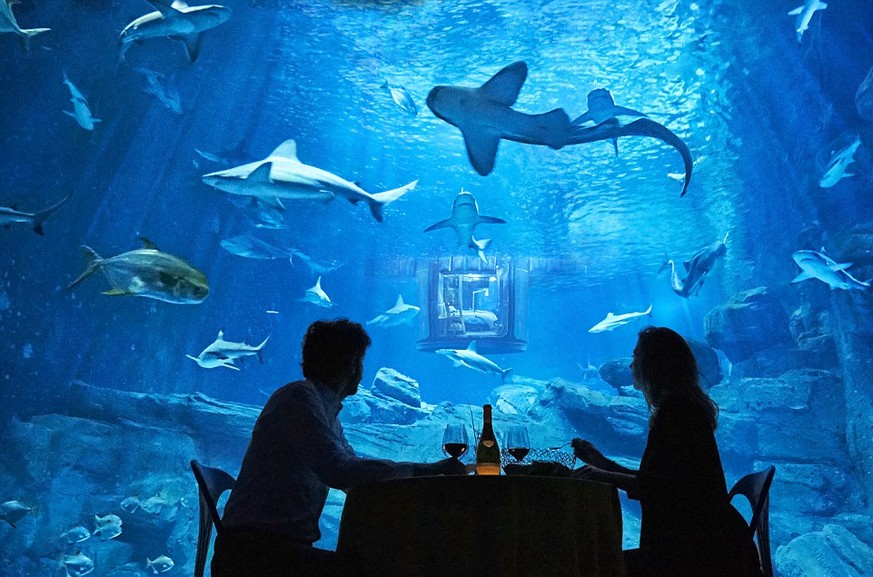 Das Aquarium beherbergt 35 Haie.