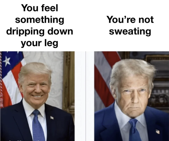 Nachrichten Linkding Trump Meme