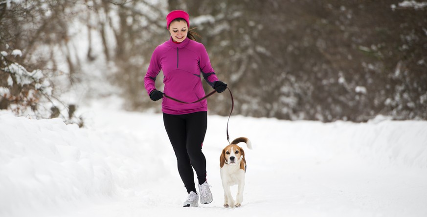 Wer mit seinem Hund joggen will, sollte ein paar Regeln beachten.