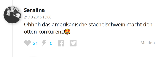 Seralina Kommentar Stachelschweine