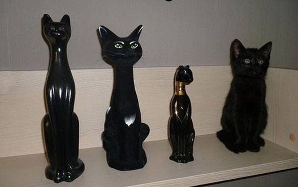 Schwarze Katze getarnt als Statue.

http://imgur.com/gallery/GECY3