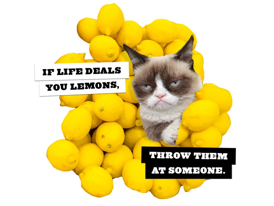 Wenn das Leben dir Zitronen gibt, schmeiss sie jemandem an.