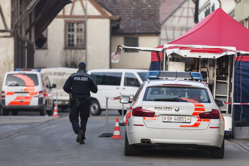 ZUR URTEILSVERKUENDUNG IM TOETUNGSDELIKT HEMMENTAL, AM MONTAG, 19. JUNI 2017, ERHALTEN SIE FOLGENDE ARCHIVBILDER ---- Polizisten ermitteln nach einerm Toetungsdelikt in Hemmental, am Montag, 14. Dezem ...