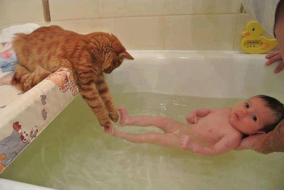 Katze badet Kind
